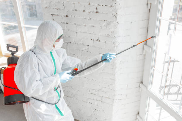 Mold Remediation for Rental Properties in Juniper Canyon, OR